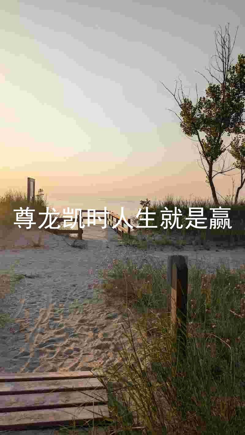 尊龙凯时人生就是赢