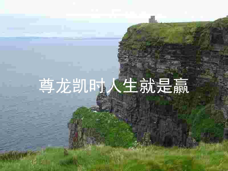 尊龙凯时人生就是赢