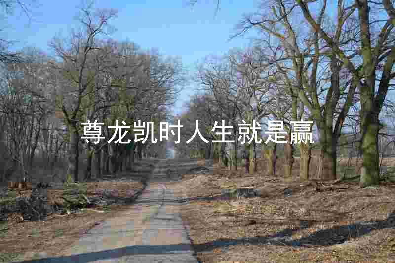 尊龙凯时人生就是赢