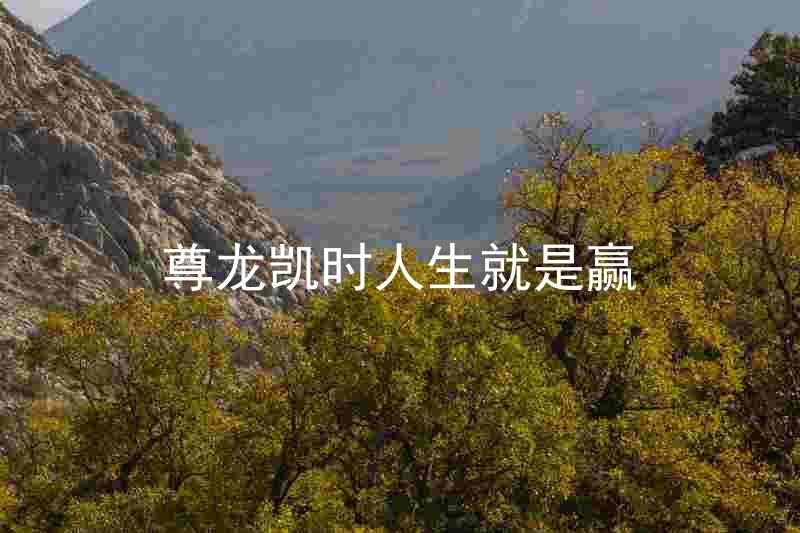 尊龙凯时人生就是赢