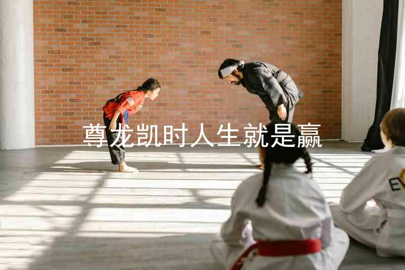尊龙凯时人生就是赢