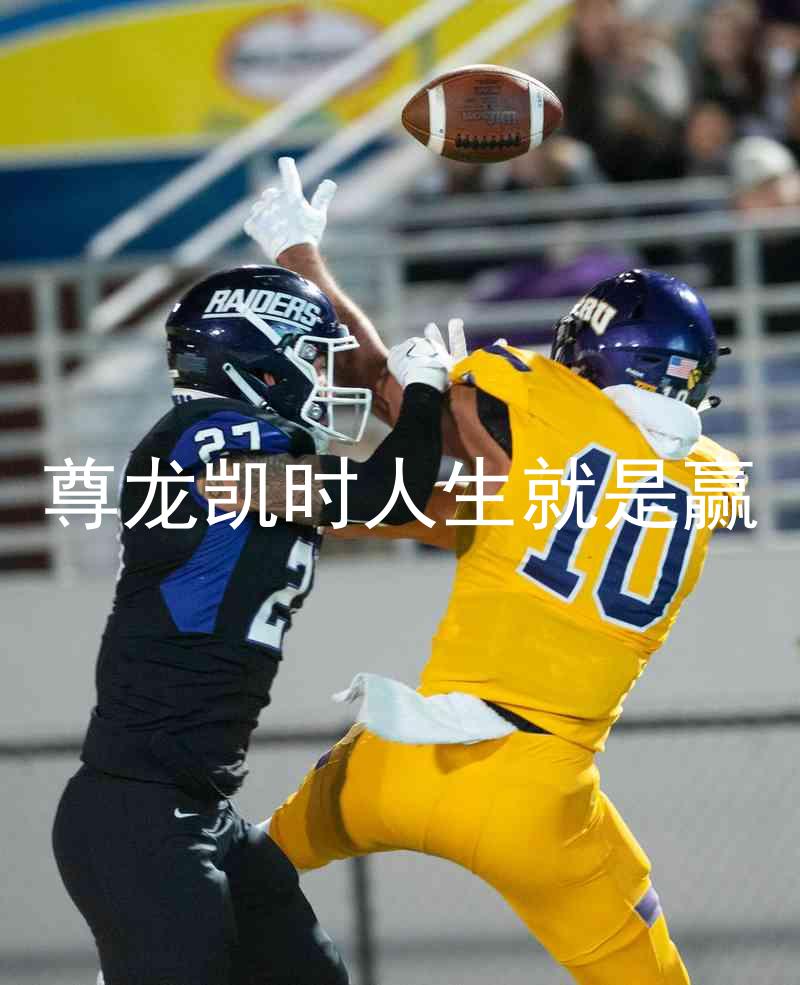 尊龙凯时人生就是赢