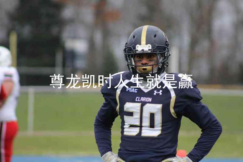 尊龙凯时人生就是赢