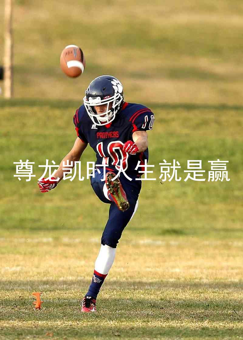 尊龙凯时人生就是赢