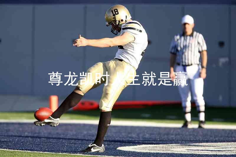 尊龙凯时人生就是赢