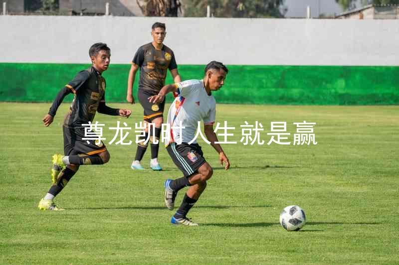 尊龙凯时人生就是赢
