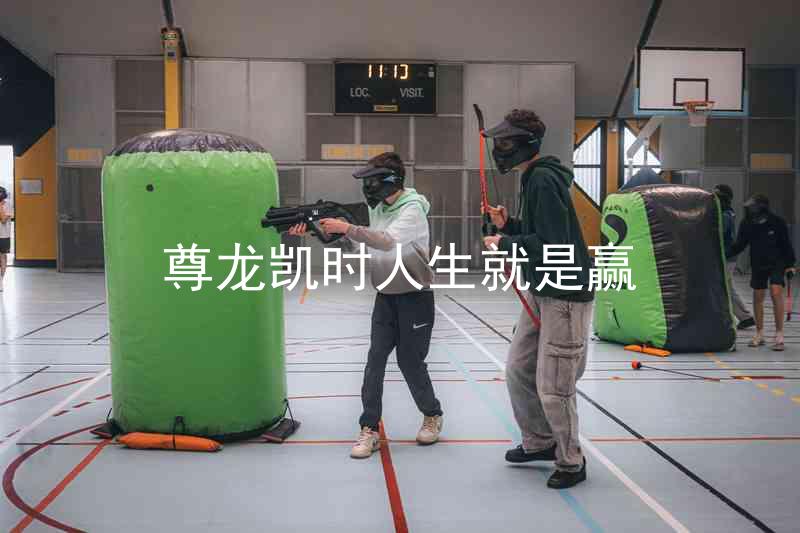 尊龙凯时人生就是赢