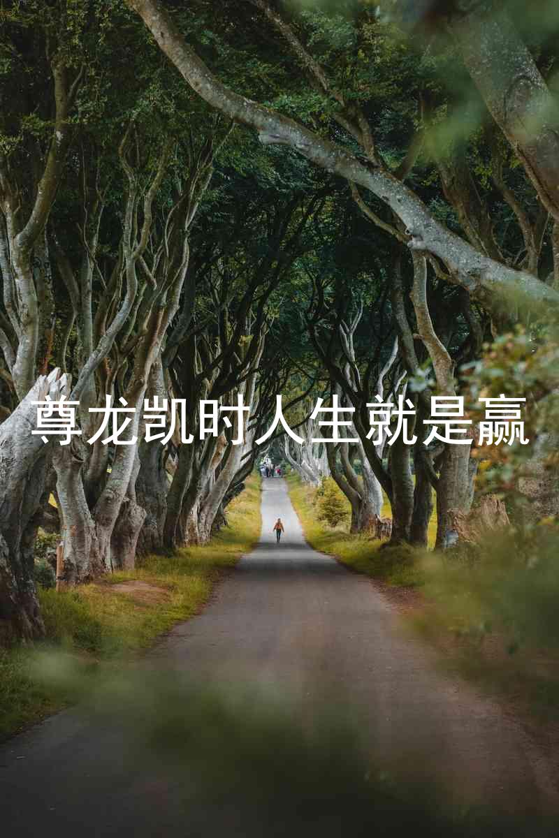 尊龙凯时人生就是赢