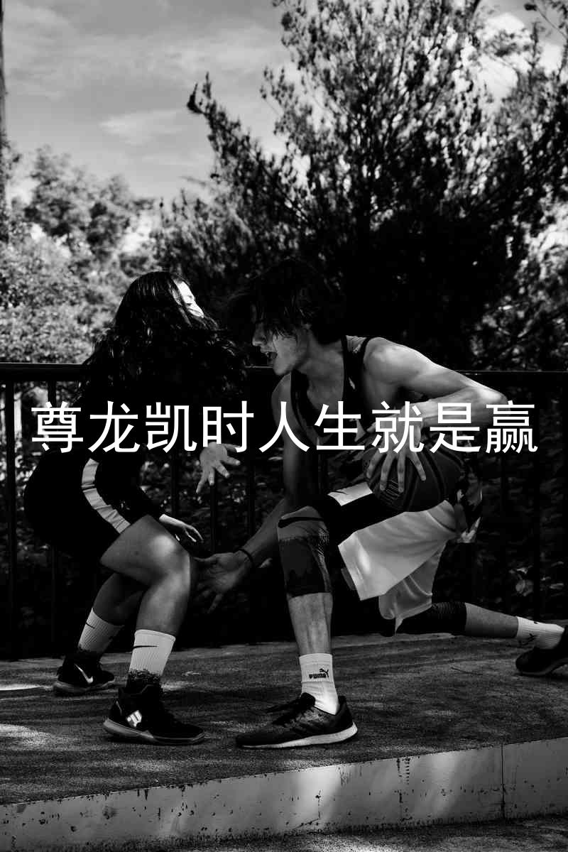 尊龙凯时人生就是赢
