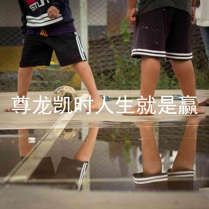 尊龙凯时人生就是赢