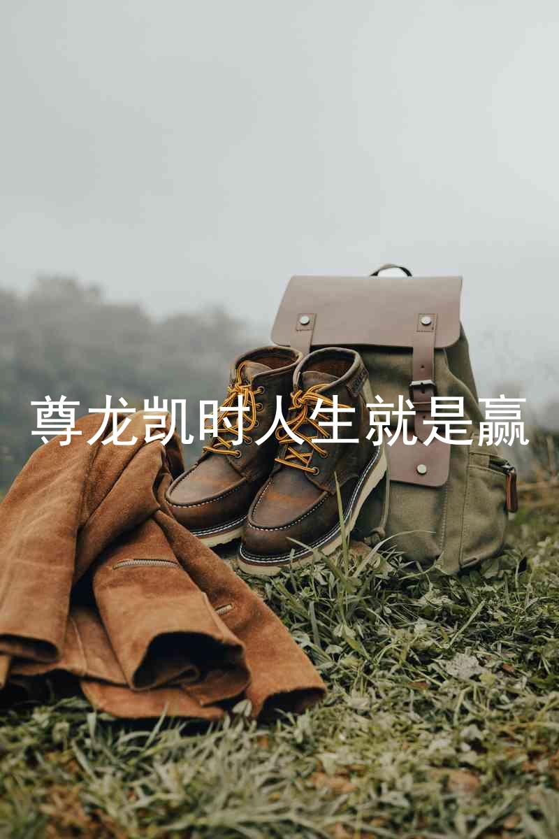 尊龙凯时人生就是赢