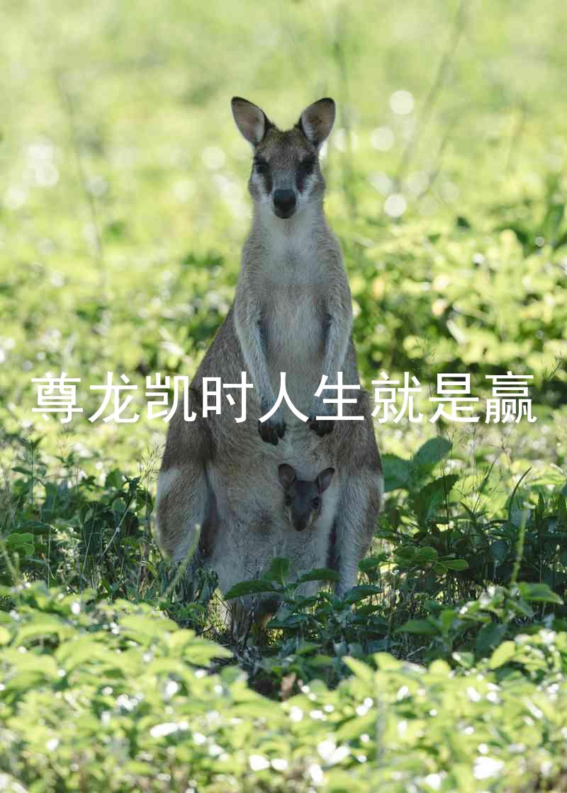 尊龙凯时人生就是赢