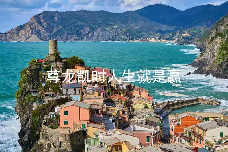 尊龙凯时人生就是赢