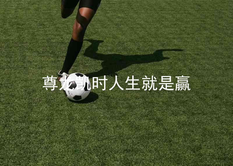 尊龙凯时人生就是赢